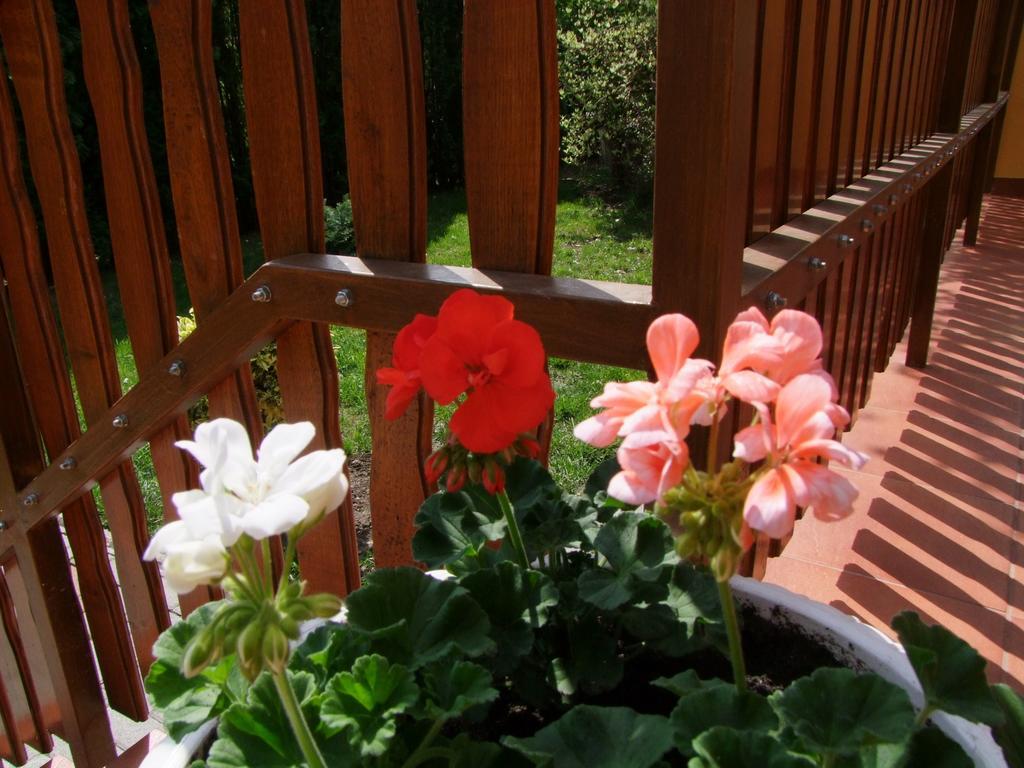 Rajna Vendeghaz Villa Bogács Exterior foto
