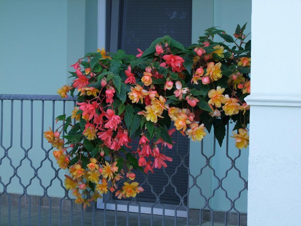 Rajna Vendeghaz Villa Bogács Exterior foto